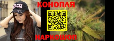 спиды Новозыбков
